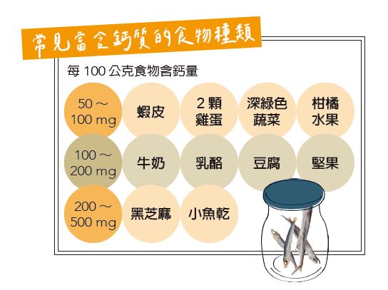 常見富含鈣質的食物種類